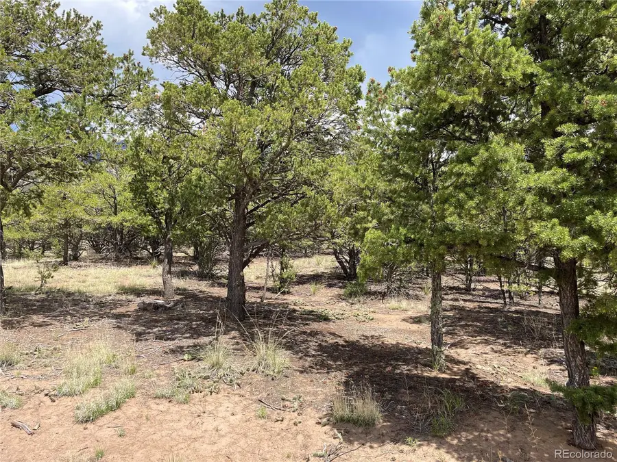 5 Hemlock St, Crestone, CO 81131 - Image #2