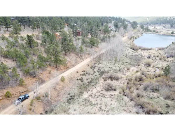 381 Neish St, Bailey, CO 80421