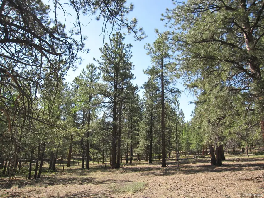 30423 Harvard Cir, Buena Vista, CO 81211 - Image #2