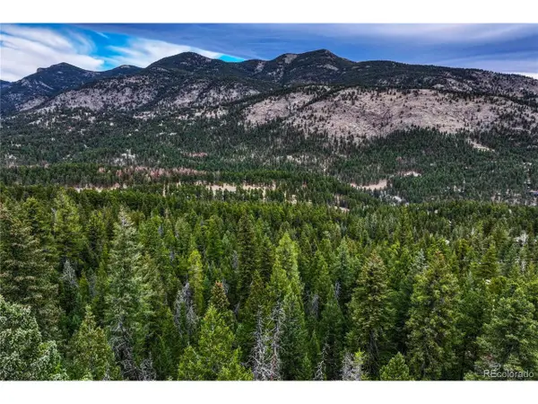 33864 Bergen View Trl, Evergreen, CO 80439