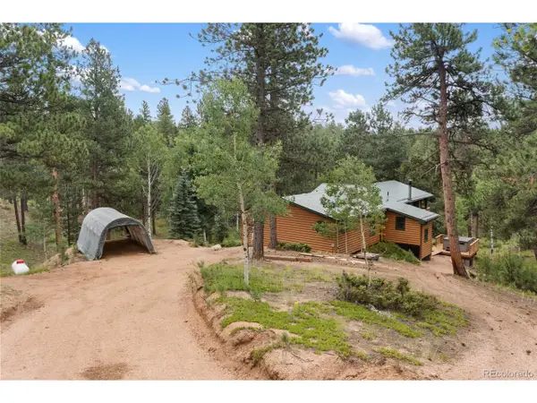 534 Poncha Creek Trl, Florissant, CO 80816