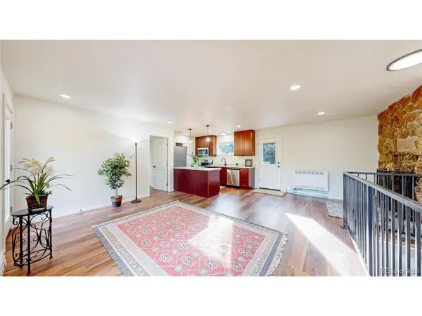 225 Renaud Rd, Bailey, CO 80421