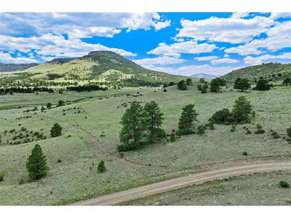 3 County Road 102, Guffey, CO 80820