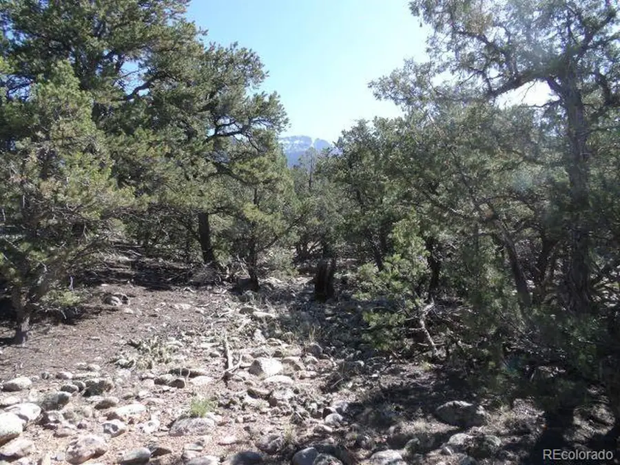 2731 Holiday Pl, Crestone, CO 81131 - #2