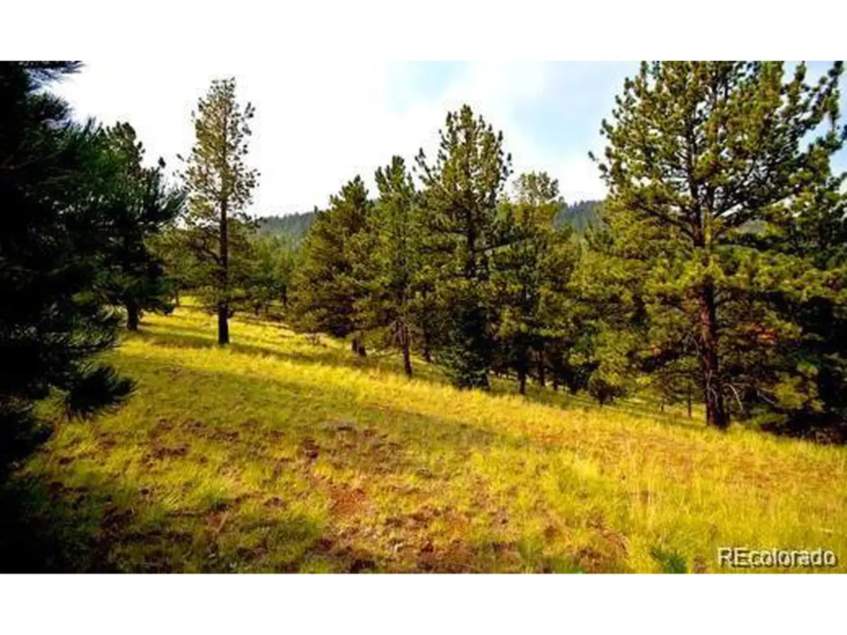 111 Isabel Claim, Cripple Creek, CO 80813 - Image #1