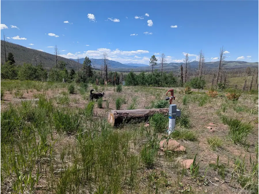 904 Forbes Park Rd & Ueda Pl, Fort Garland, CO 81133 - Image #2