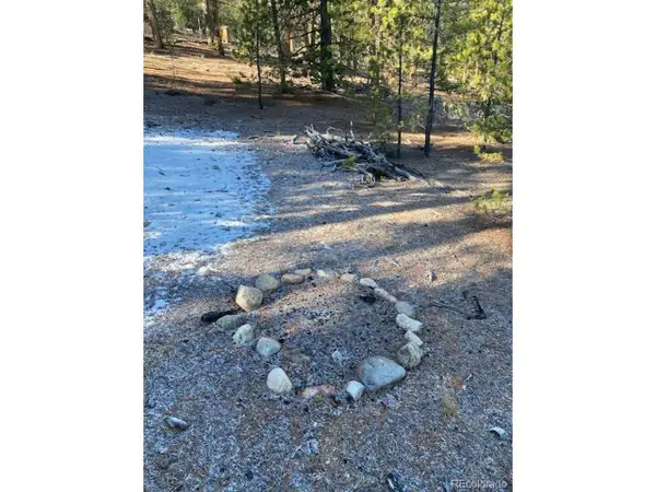 67 Lodgepole Dr, Leadville, CO 80461