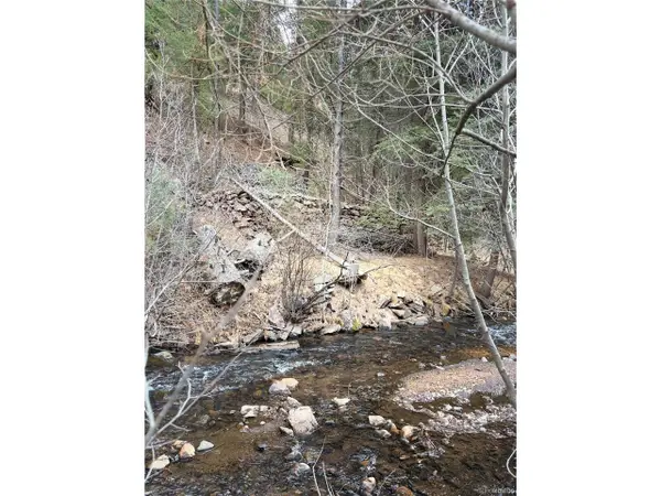 0 S Elk Creek Rd, Pine, CO 80470