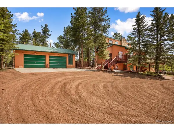 381 Saddleback Creek Dr, Florissant, CO 80816