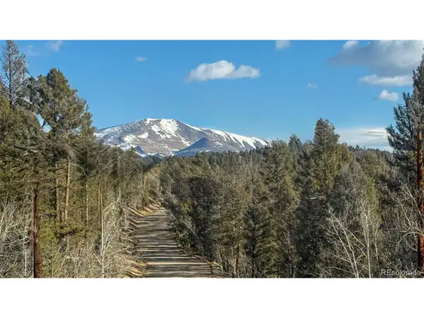 3132 Middle Fork Vis, Fairplay, CO 80440