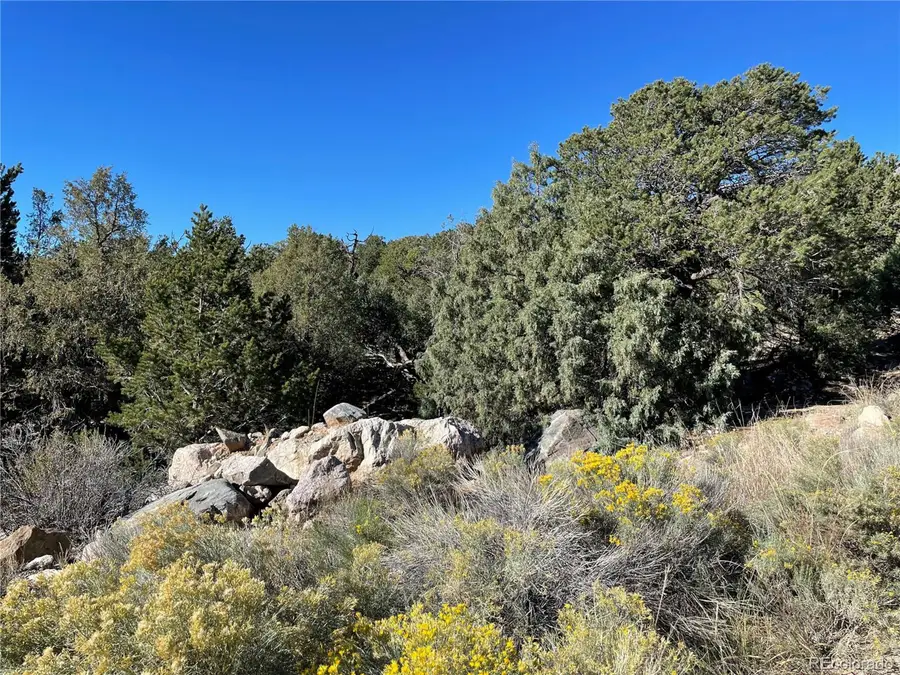 1919 Lone Pine Way, Crestone, CO 81131 - Image #3