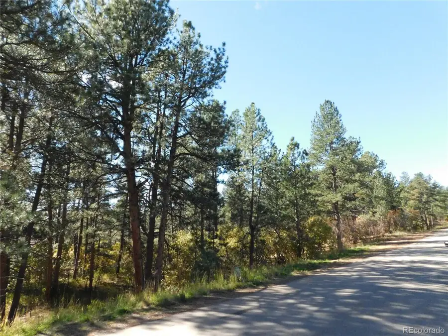 682 Copper Fox Pl, Larkspur, CO 80118 - Image #3