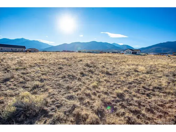 16670 Allen Dr, Buena Vista, CO 81211