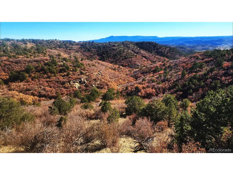 11298 Primero Rnch, Trinidad, CO 81082 - #2
