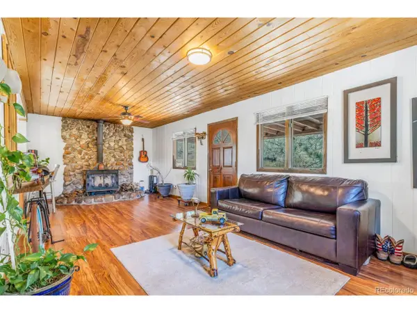 145 Bailey Dr, Bailey, CO 80421