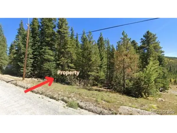 47 Silver Creek Rd, Idaho Springs, CO 80452