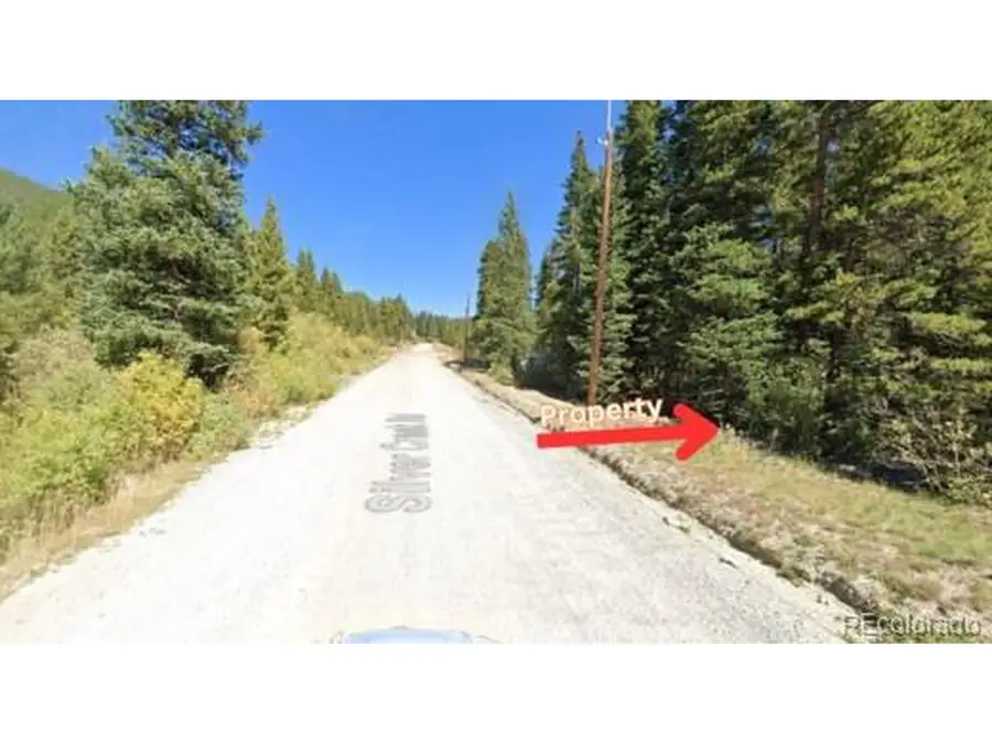 47 Silver Creek Rd, Idaho Springs, CO 80452 - Image #3