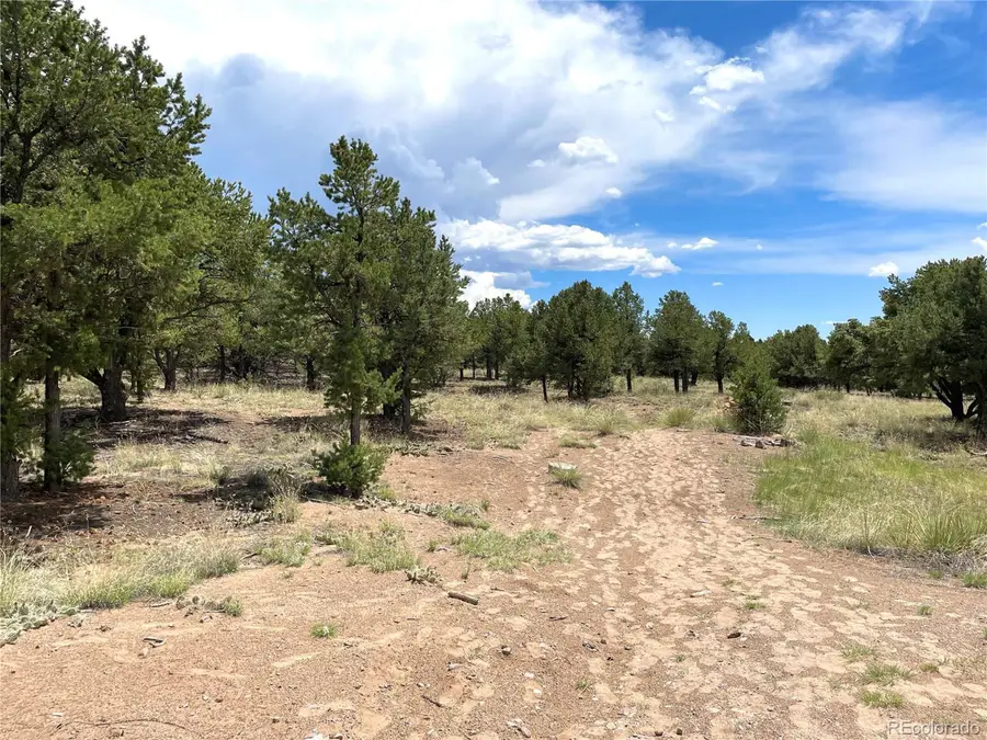 6 Hemlock St, Crestone, CO 81131 - Image #2