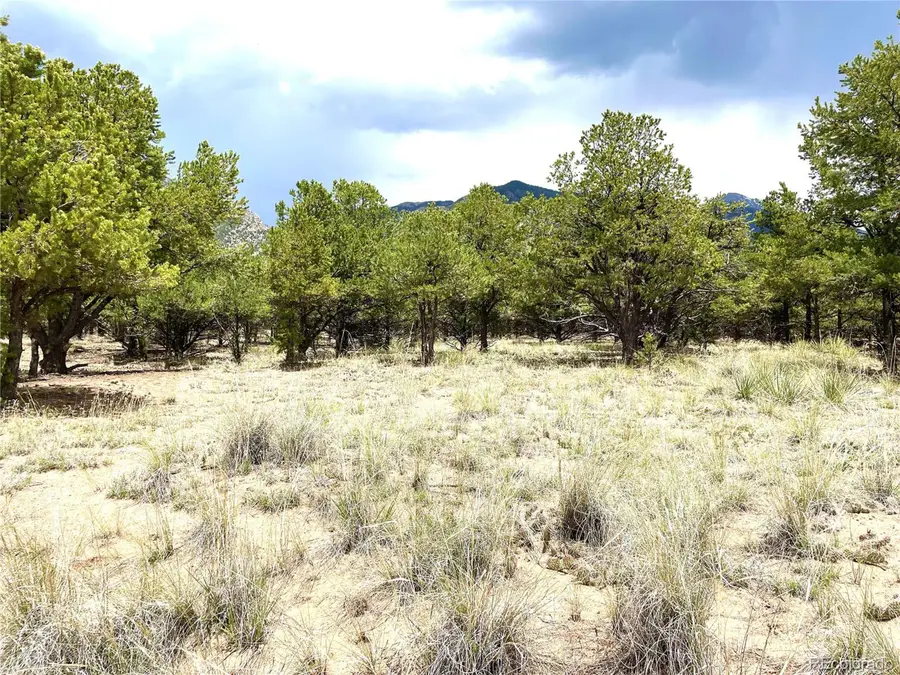 6 Hemlock St, Crestone, CO 81131 - Image #3