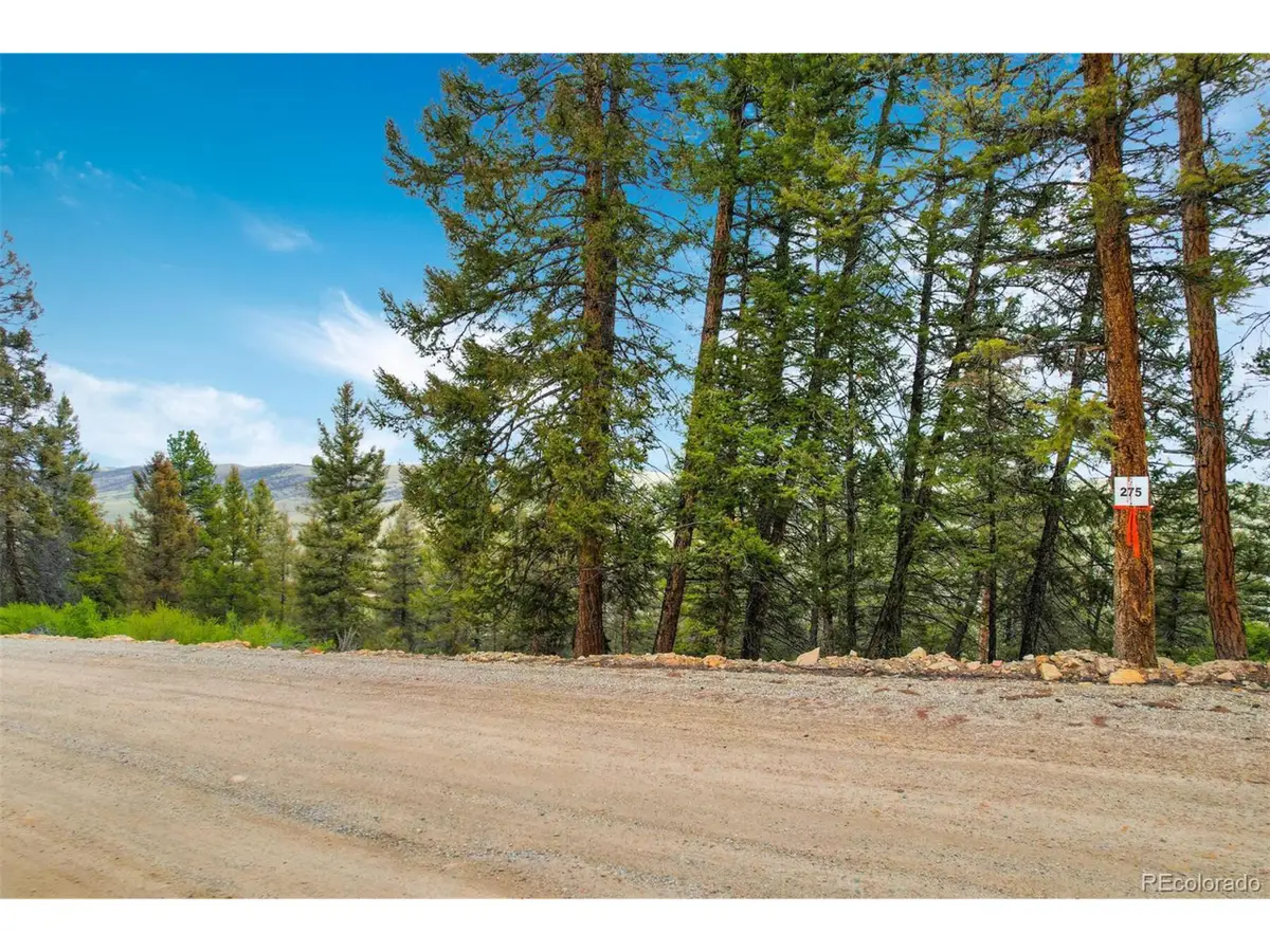 0 Trout Creek Ln, Fairplay, CO 80440 - Image #1