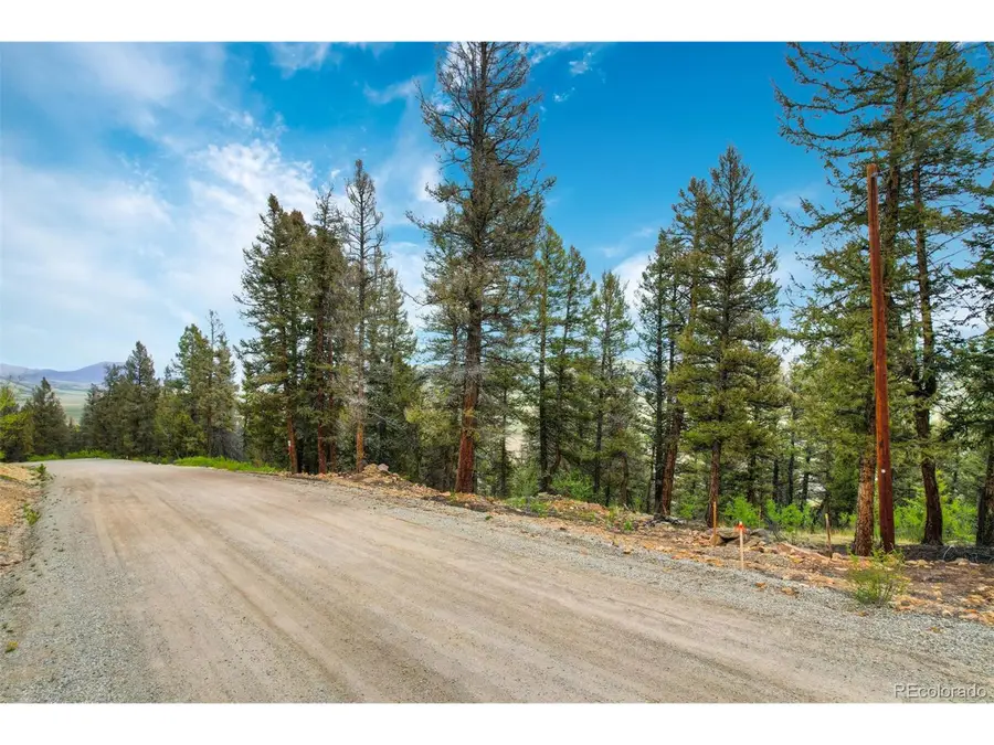 0 Trout Creek Ln, Fairplay, CO 80440 - Image #3