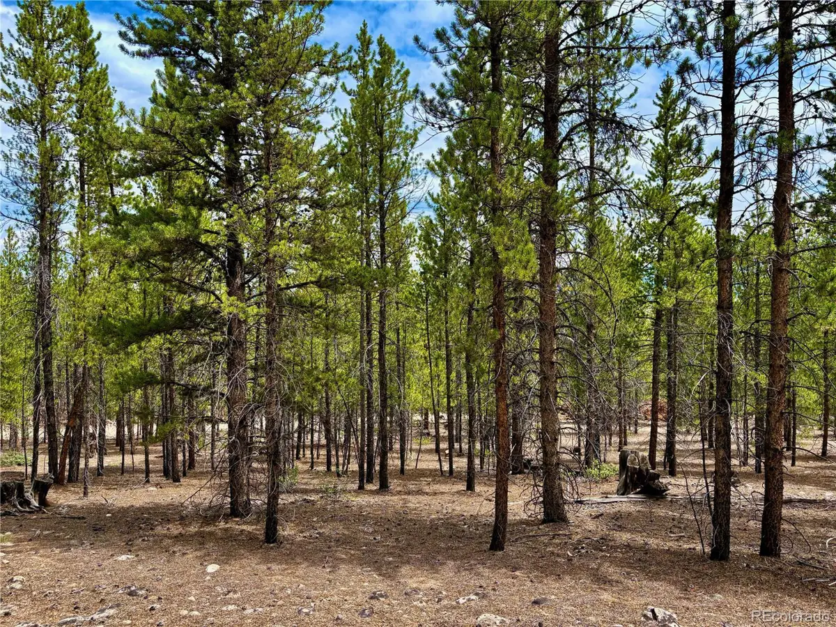 Address Withheld By Seller, Twin Lakes, CO 81251 - Image #1