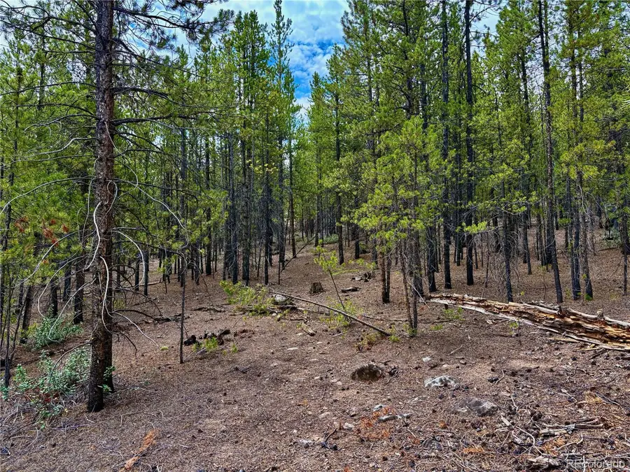 Address Withheld By Seller, Twin Lakes, CO 81251 - Image #3