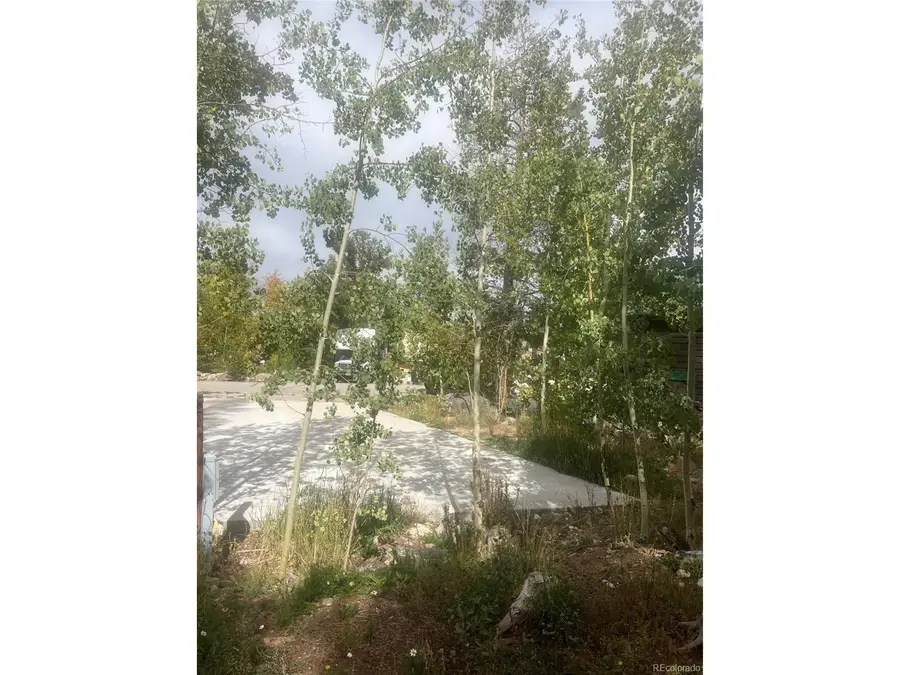 Sunshine Loop, Fairplay, CO 80440 - #2