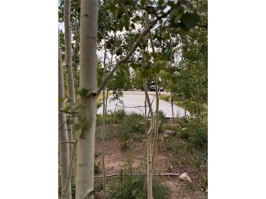 Sunshine Loop, Fairplay, CO 80440 - #3