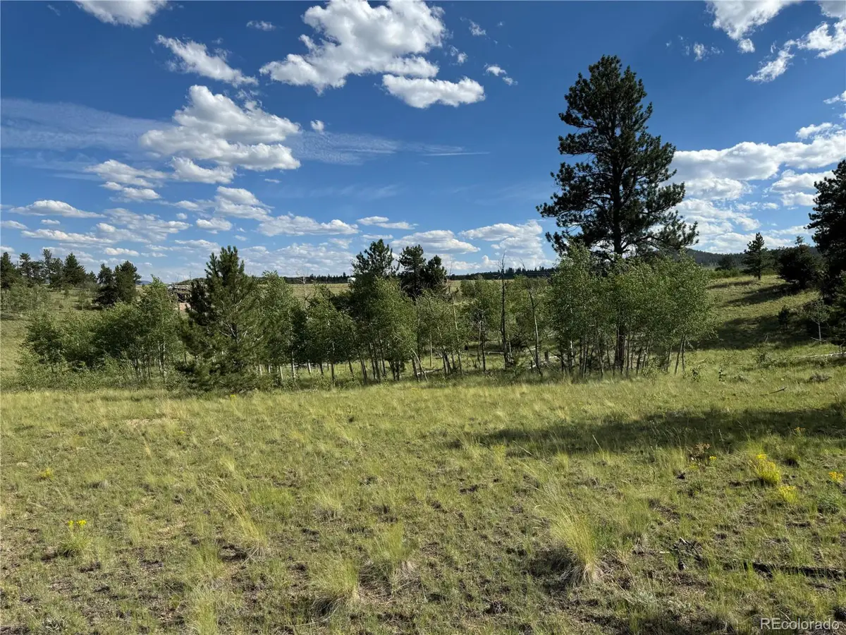 Address Withheld By Seller, Hartsel, CO 80449 - Image #1