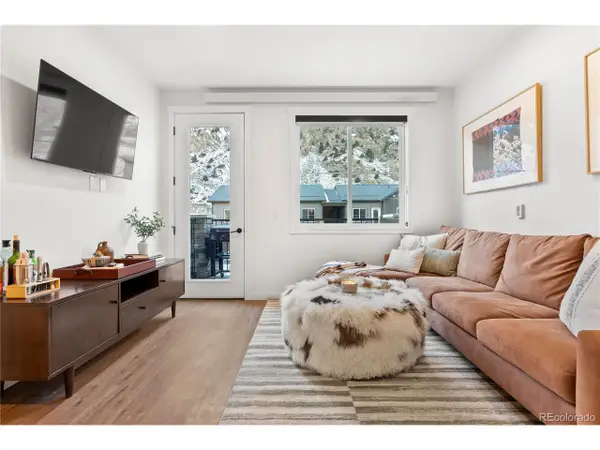 2155 Bighorn Rd #201, Georgetown, CO 80444