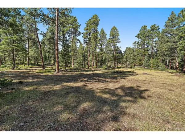 0 Evergreen Dr, Conifer, CO 80433
