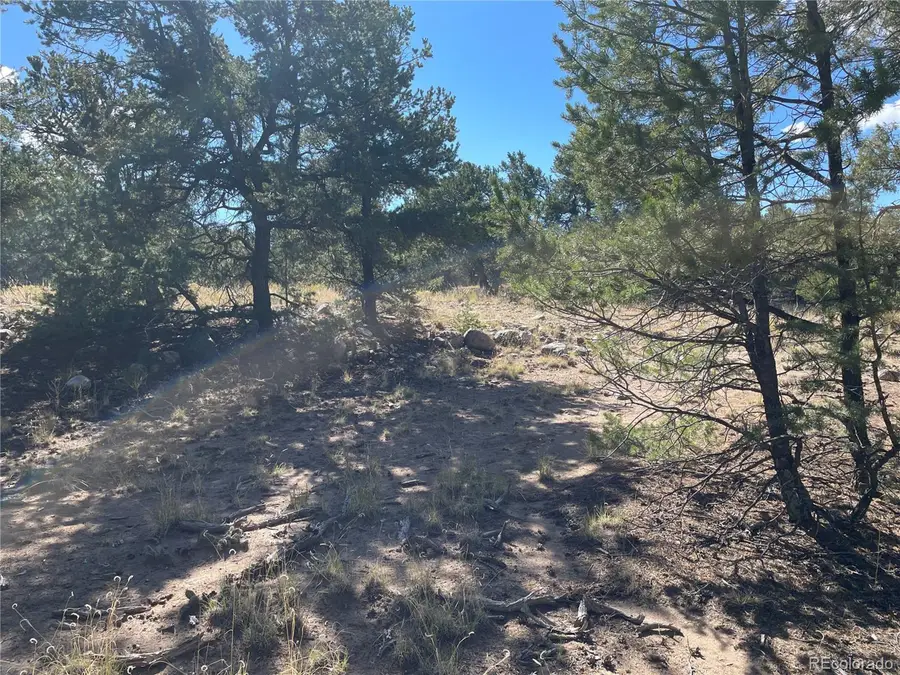 3545 Fallen Tree Pl, Crestone, CO 81131 - Image #2