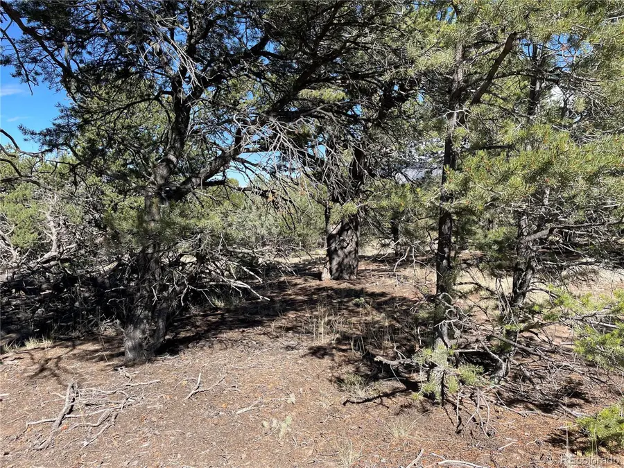 3545 Fallen Tree Pl, Crestone, CO 81131 - Image #3