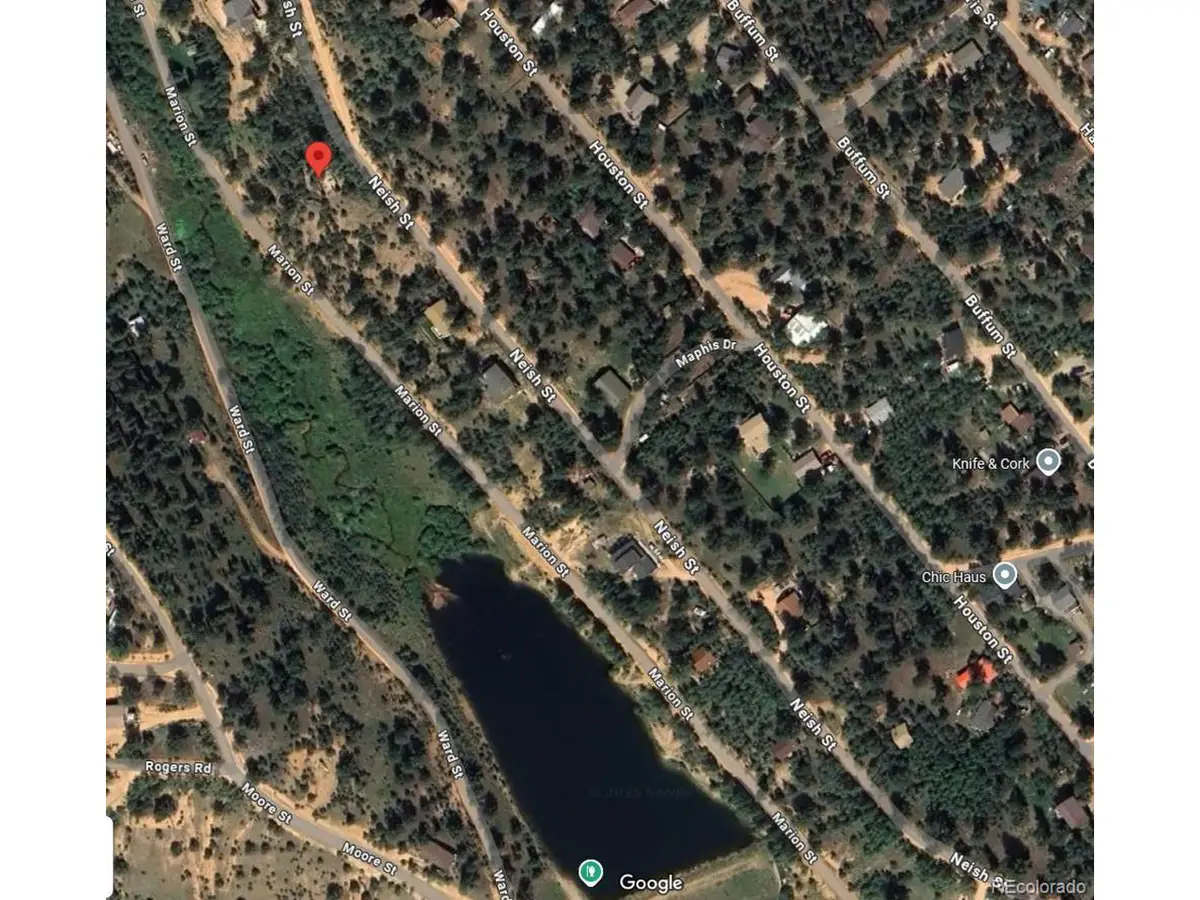 367 Neish St, Bailey, CO 80421 - #1