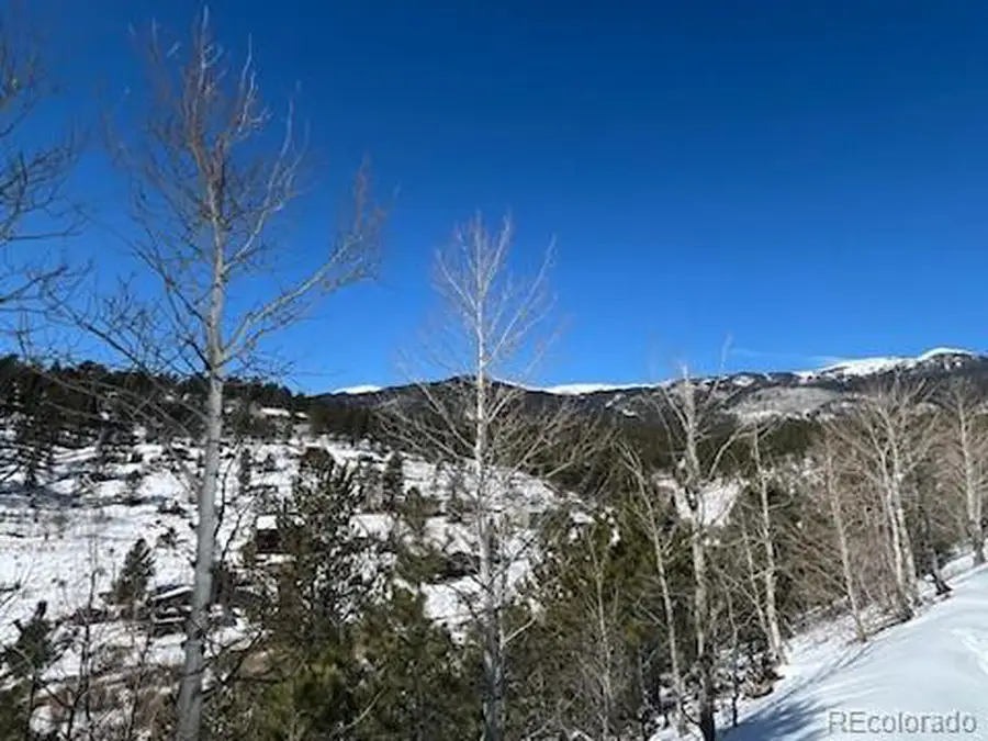 367 Neish St, Bailey, CO 80421 - #3