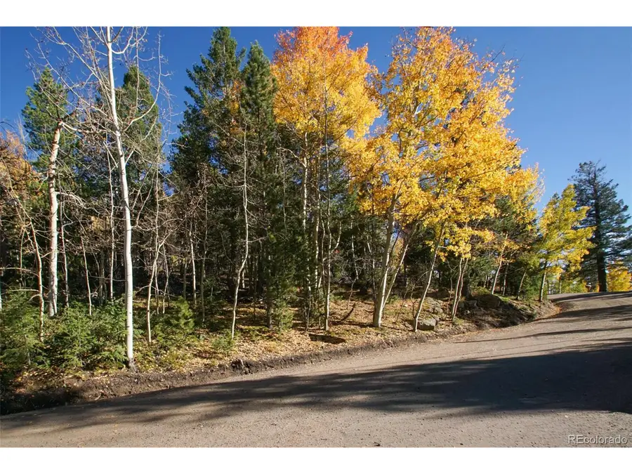 11637 Leavenworth Dr, Conifer, CO 80433 - #2