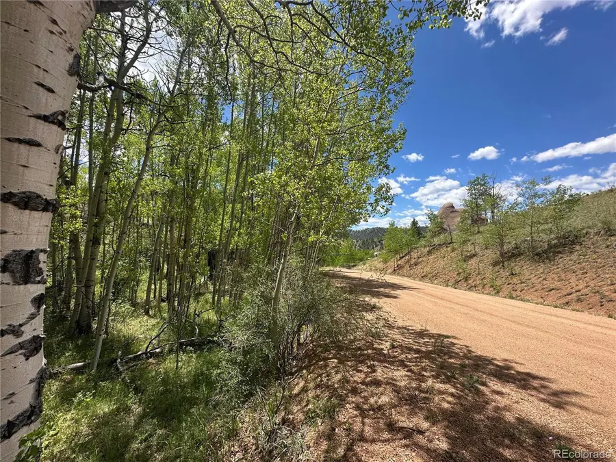 524 Buckhorn Rd, Cripple Creek, CO 80813 - Image #2