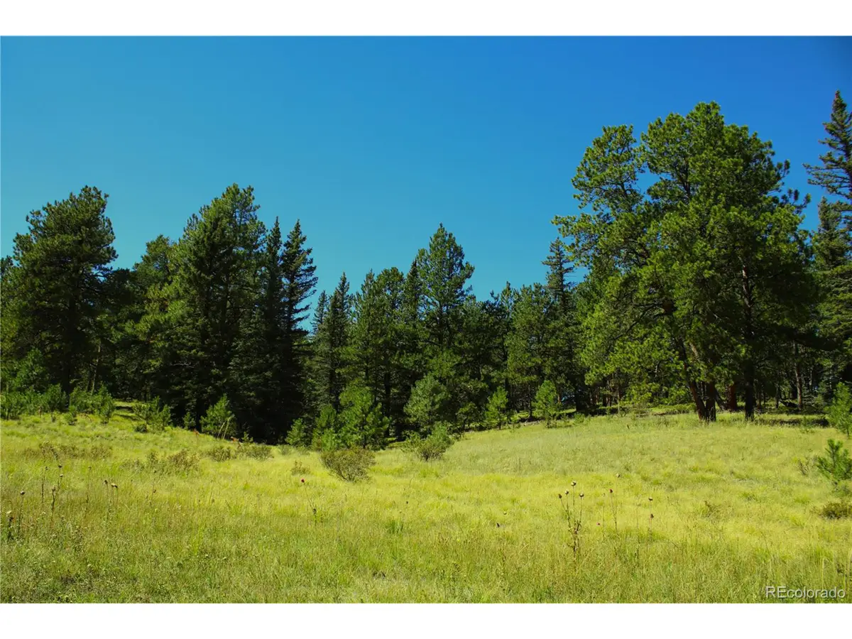 Address Withheld By Seller, Divide, CO 80814 - Image #1