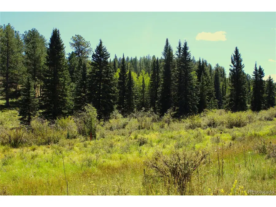 Address Withheld By Seller, Divide, CO 80814 - Image #2