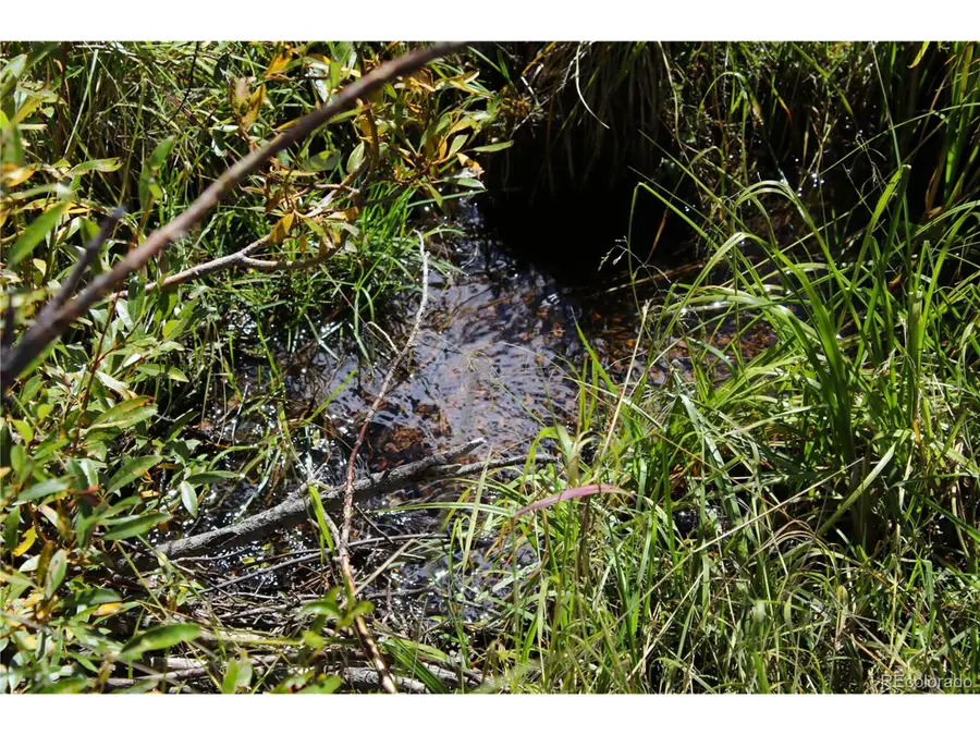 Address Withheld By Seller, Divide, CO 80814 - Image #3