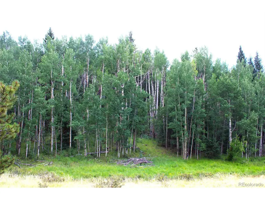 344 Grey Eagle Dr, Cripple Creek, CO 80814 - Image #2