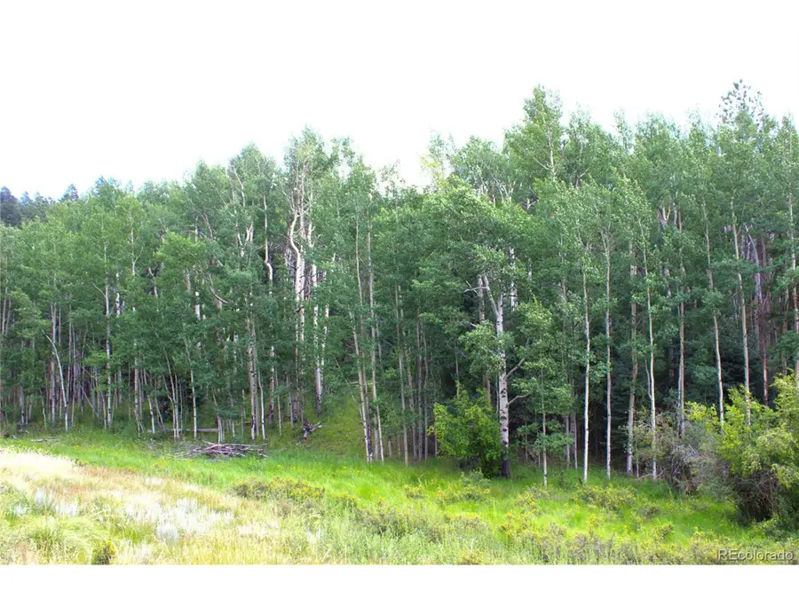 344 Grey Eagle Dr, Cripple Creek, CO 80814 - Image #3