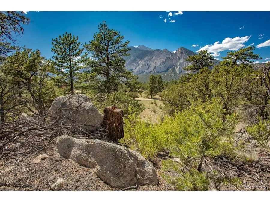 0 Oppliger Dr, Nathrop, CO 81236 - #2