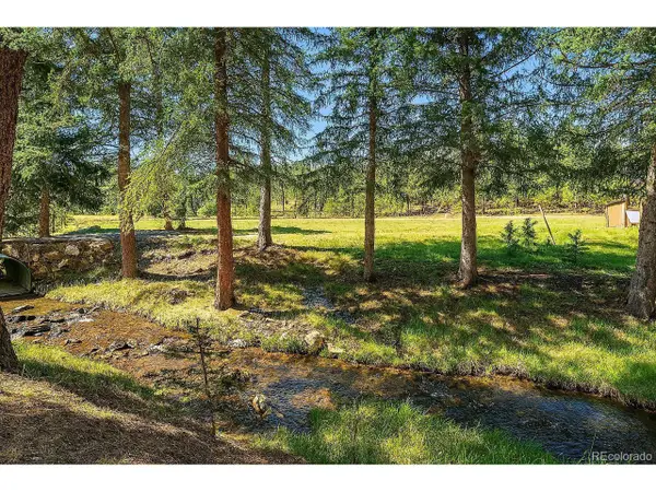 28268 Shadow Mountain Dr, Conifer, CO 80433