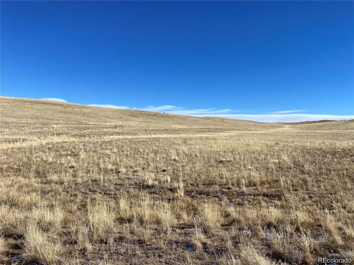 92 Sioux Rd, Hartsel, CO 80449 - #1