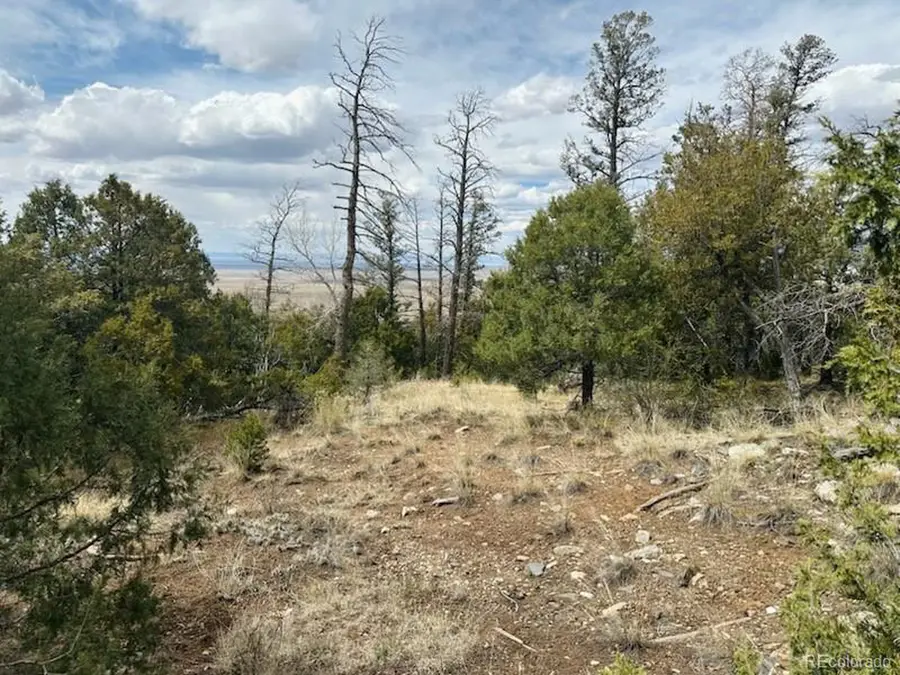 313 Arrastre Rd, Mosca, CO 81146 - Image #3