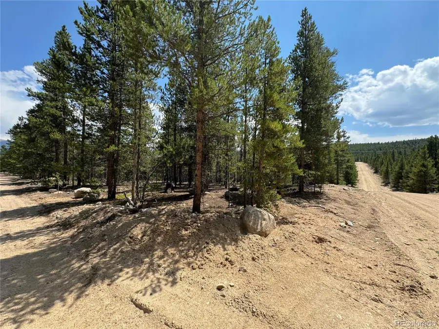 218 Aspen Dr, Leadville, CO 80461 - #3