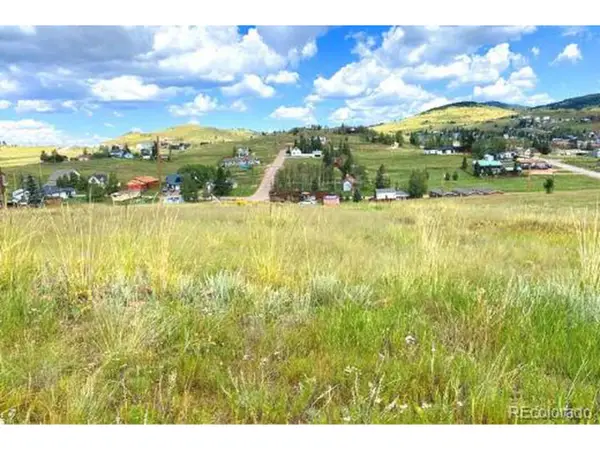 1111 Whalen Ave, Cripple Creek, CO 80813