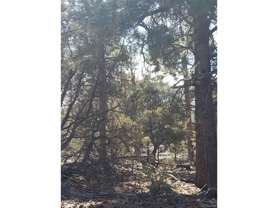 Address Withheld By Seller, Mosca, CO 81146 - Image #3